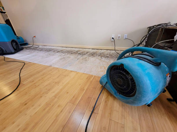 Professional Water Removal technician working in Orwell, OH